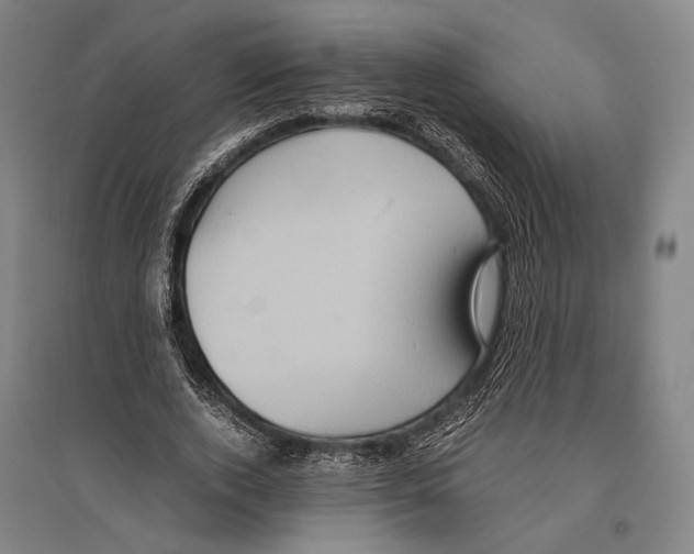 X0000096640728200803041126