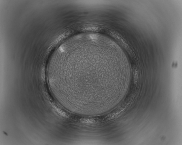 X0000096640729200803041126