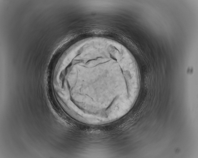 X0000096640730200803041126