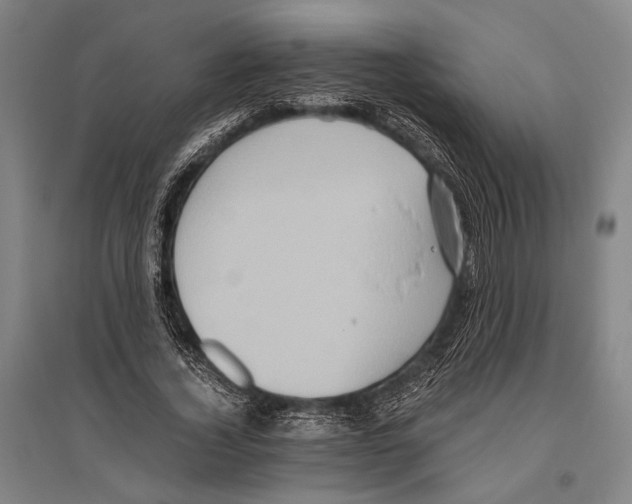 X0000096640732200803041126