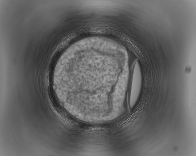 X0000096640734200803041126