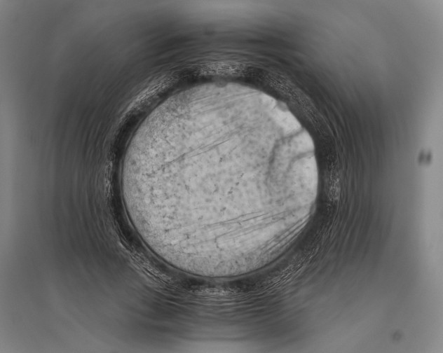 X0000096640735200803041126