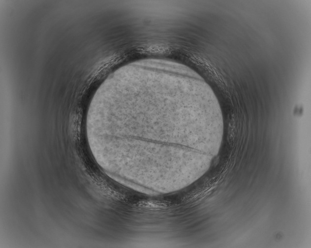 X0000096640739200803041126