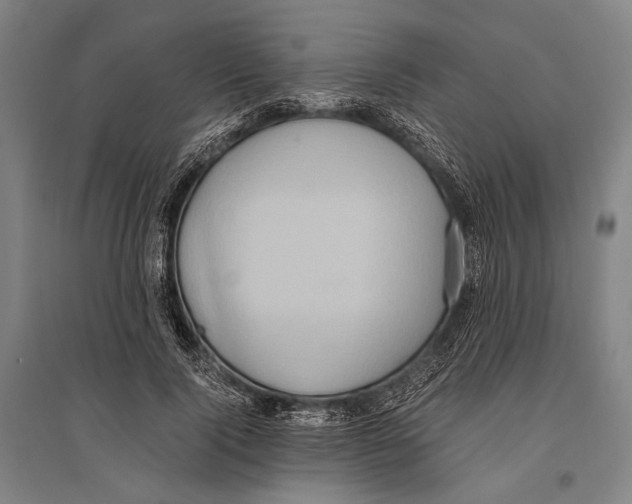 X0000096640740200803041126