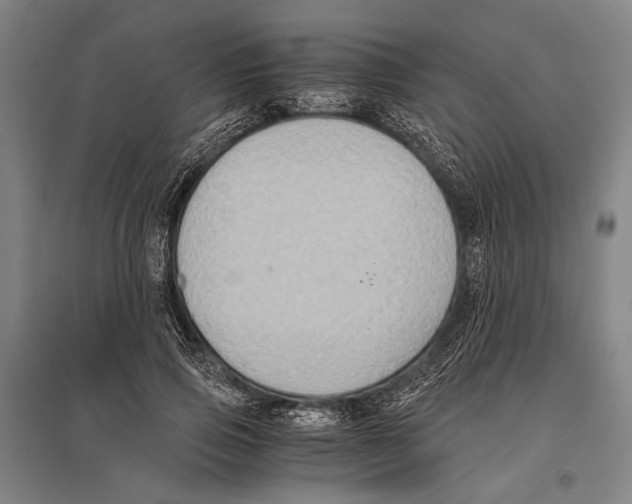 X0000096640741200803041126