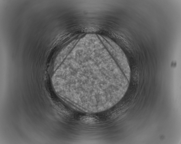 X0000096640743200803041126