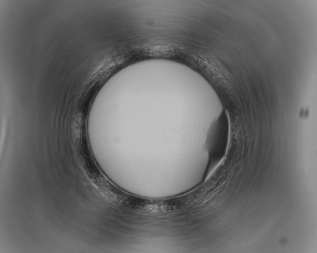 X0000096640744200803041126