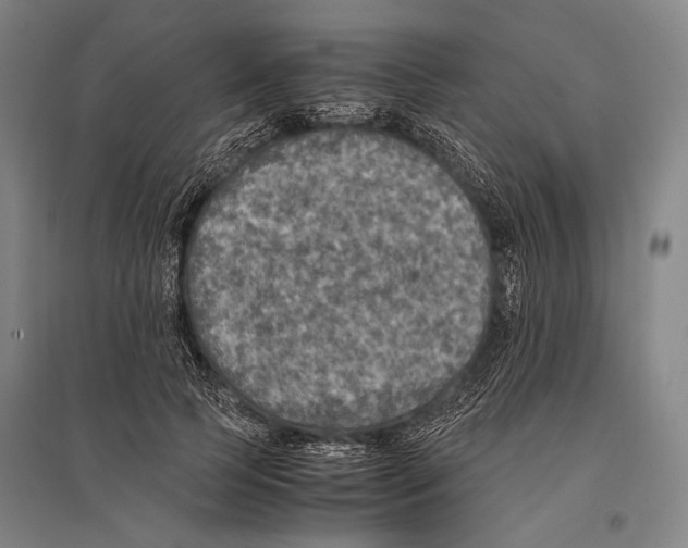 X0000096640745200803041126