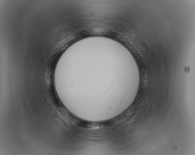 X0000096640746200803041126