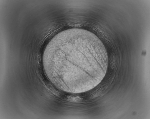 X0000096640747200803041126