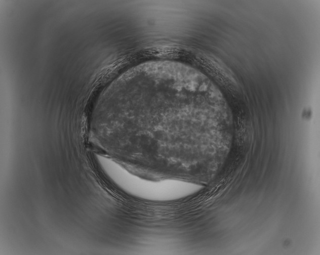 X0000096640748200803041126