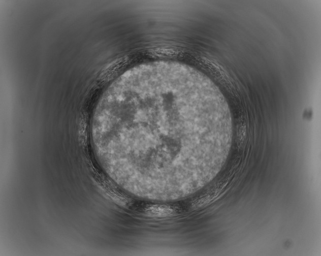 X0000096640749200803041126