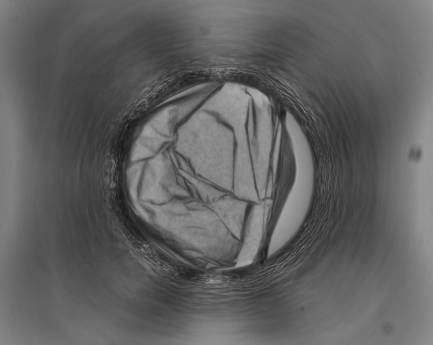 X0000096640750200803041126