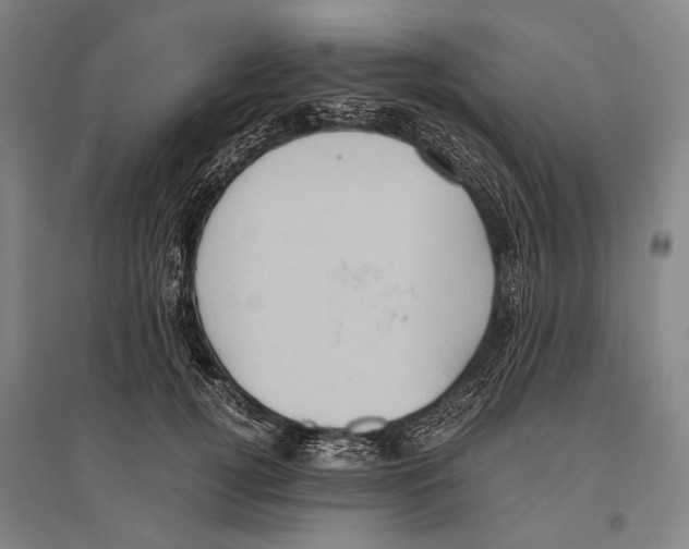 X0000096640752200803041126