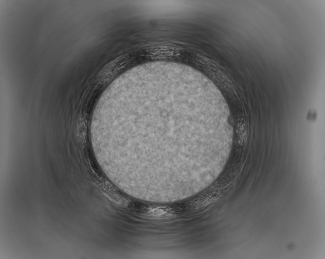 X0000096640753200803041126