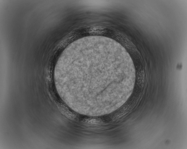 X0000096640755200803041126