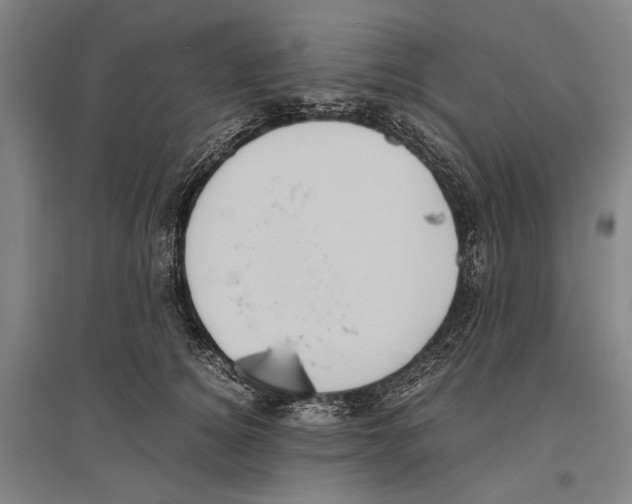 X0000096640756200803041126