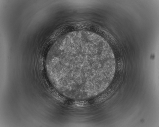 X0000096640757200803041126