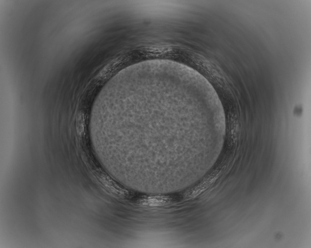 X0000096640758200803041126