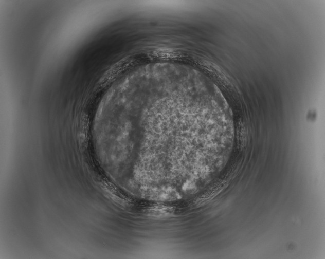 X0000096640760200803041126