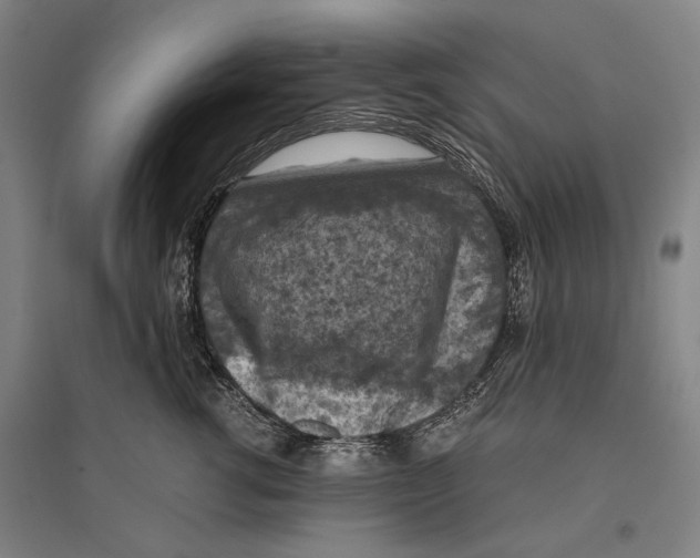 X0000096640762200803041126