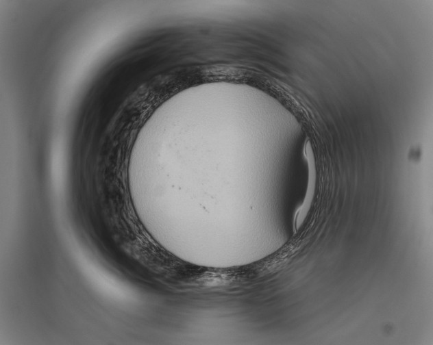 X0000096640764200803041126