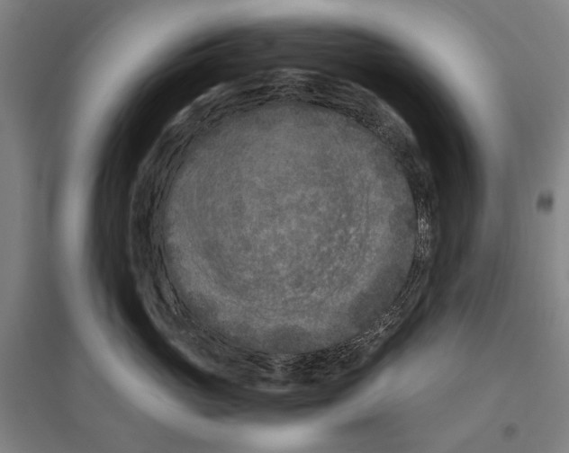 X0000096640765200803041126