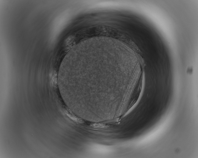 X0000096640766200803041126