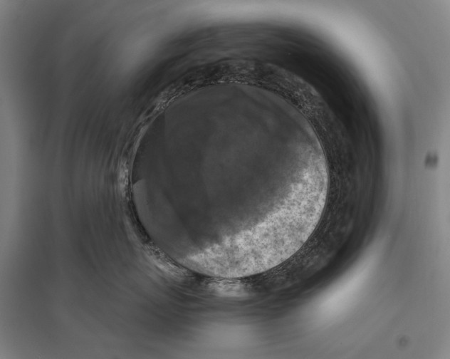 X0000096640767200803041126