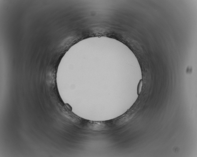 X0000096640768200803041126