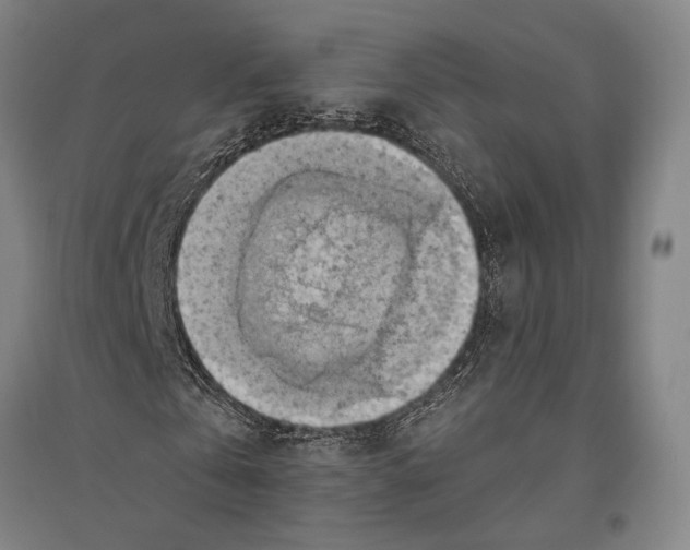 X0000096640769200803041126