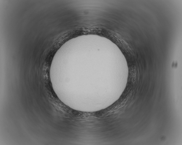 X0000096640770200803041126