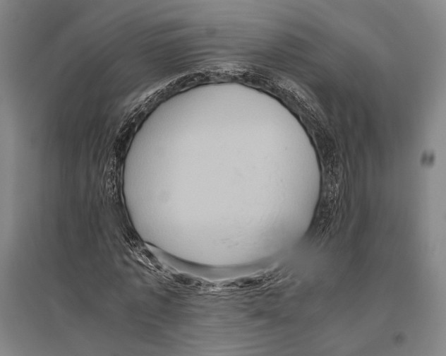 X0000096640773200803041126