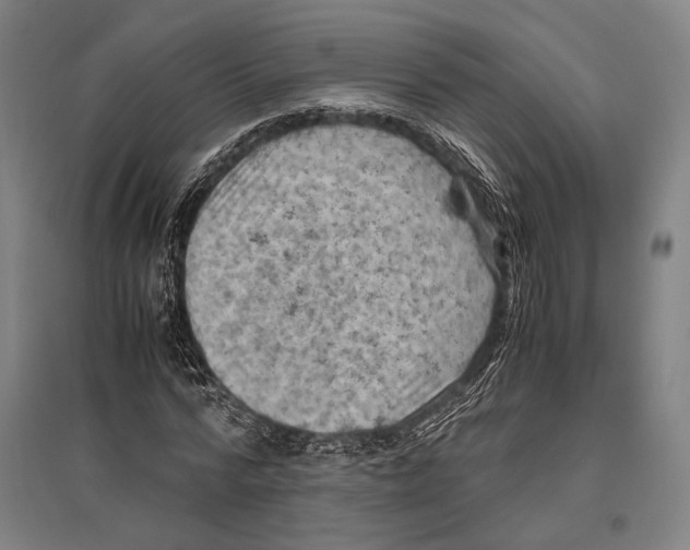 X0000096640776200803041125