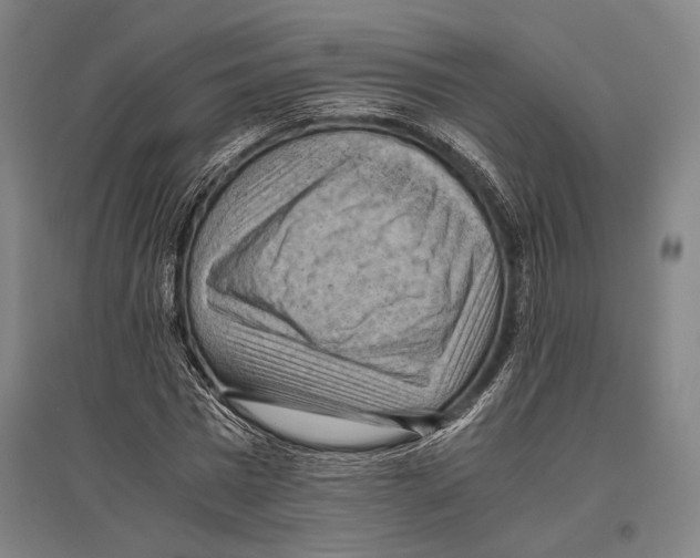 X0000096640777200803041125