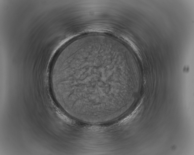 X0000096640779200803041125