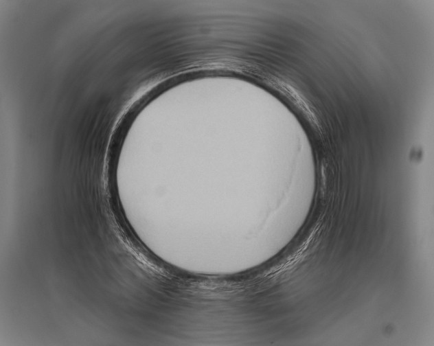 X0000096640780200803041125