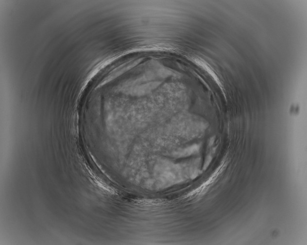 X0000096640781200803041125