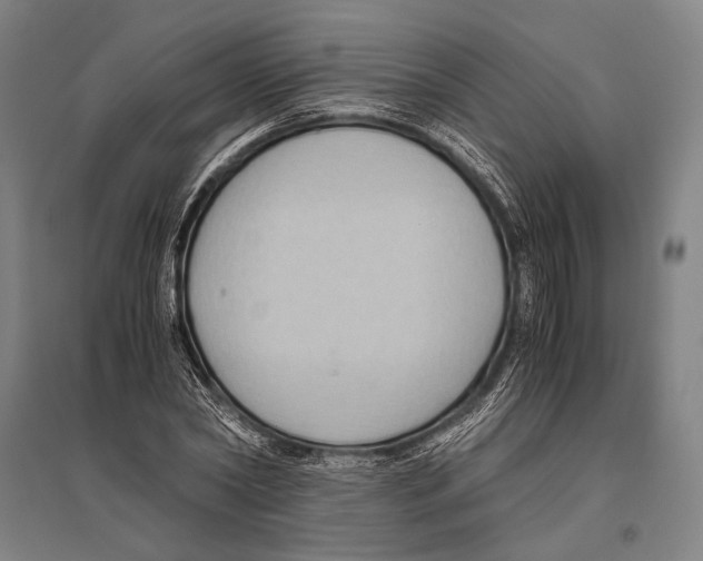 X0000096640782200803041125