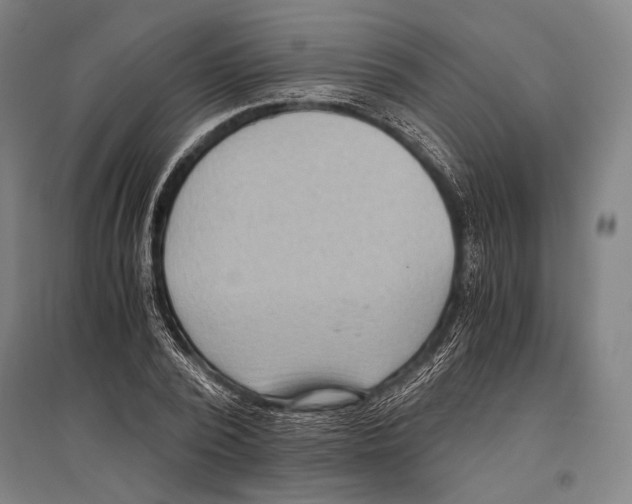 X0000096640784200803041125