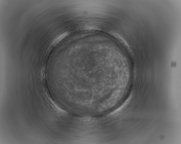 X0000096640785200803041125