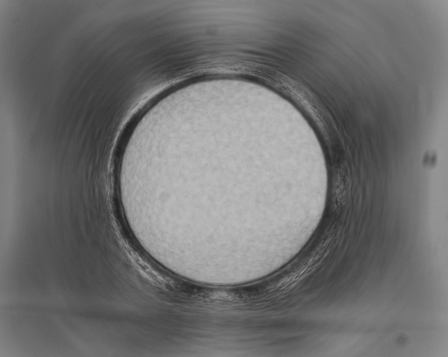 X0000096640787200803041125