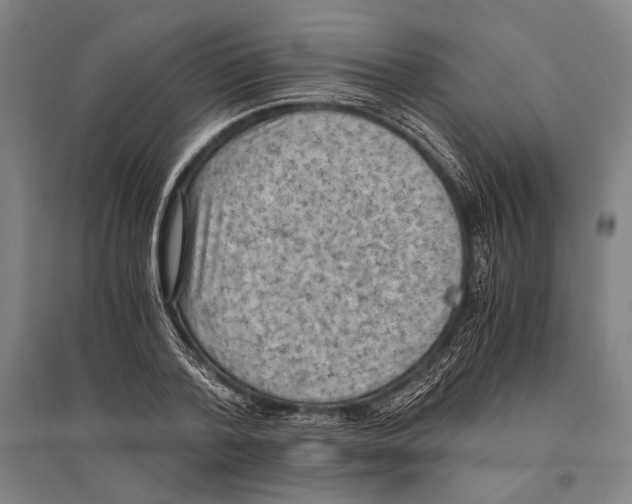 X0000096640788200803041125