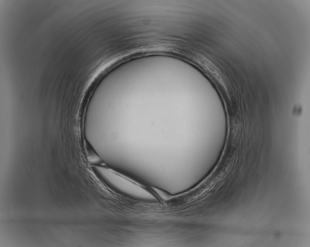 X0000096640789200803041125