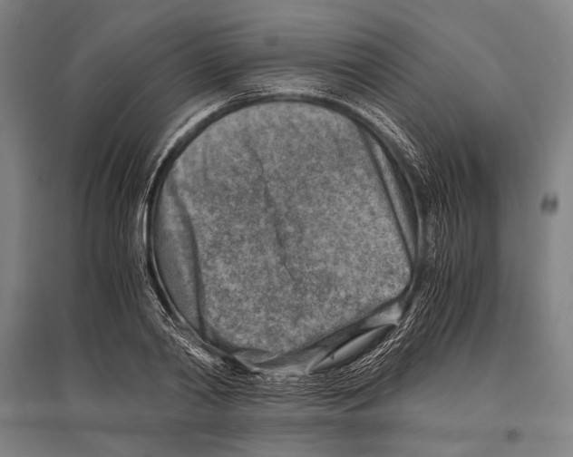 X0000096640790200803041125