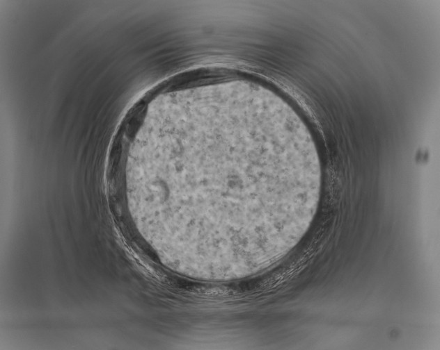 X0000096640791200803041125