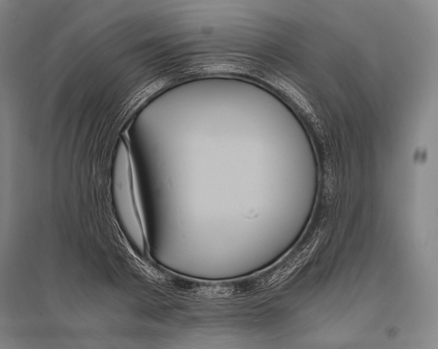 X0000096640793200803041125