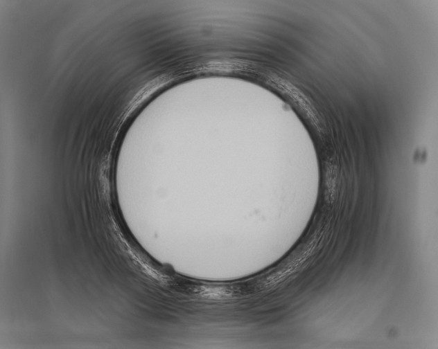 X0000096640794200803041125