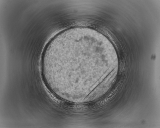 X0000096640795200803041125