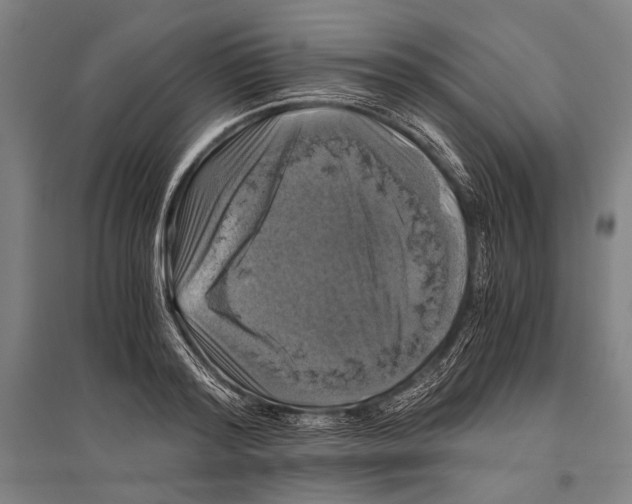 X0000096640796200803041125